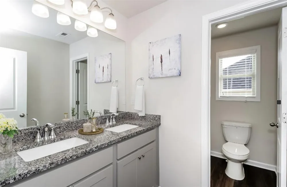 10 Silvercharm Way #196 Dallas, GA 30132