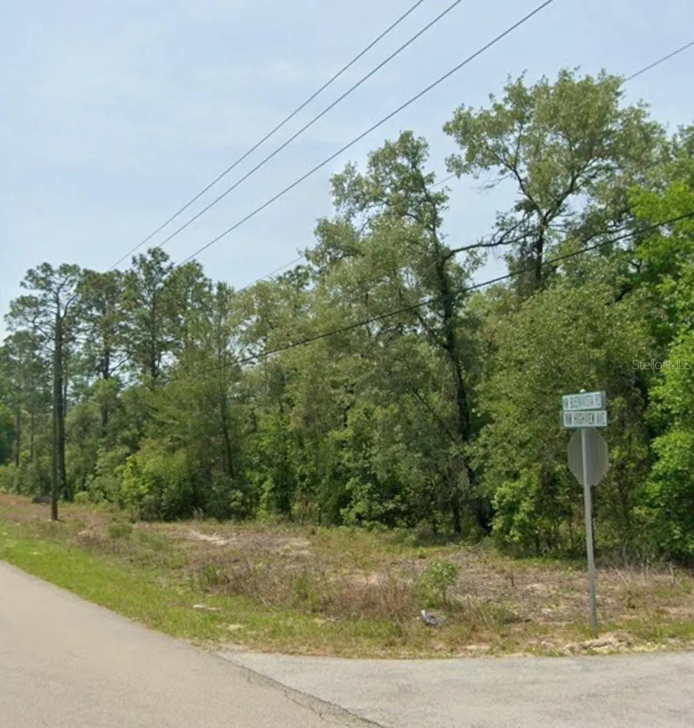 00 NW HIGHVIEW AVENUE Dunnellon, FL 34431