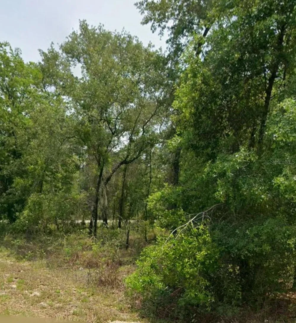 00 NW HIGHVIEW AVENUE Dunnellon, FL 34431