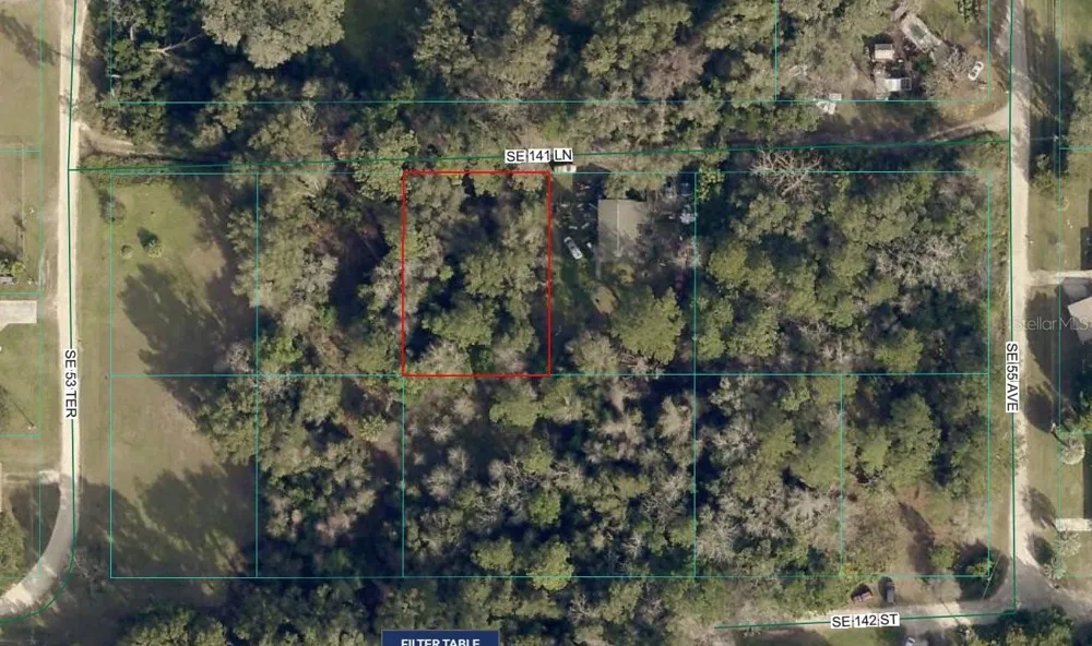 00 SE 141 LANE Summerfield, FL 34491