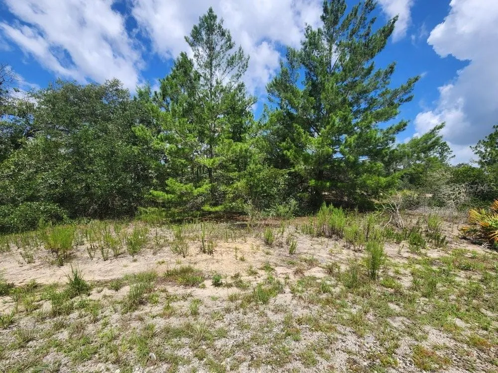 00 SW GARDENIA COURT Dunnellon, FL 34432