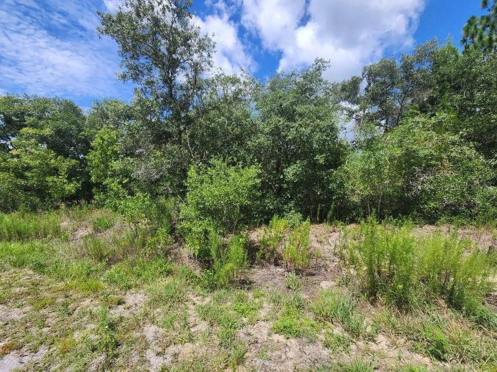 00 SW GARDENIA COURT Dunnellon, FL 34432