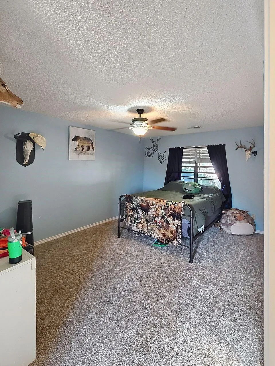 8908 Co Rd 103 Road Hamlin, TX 79520