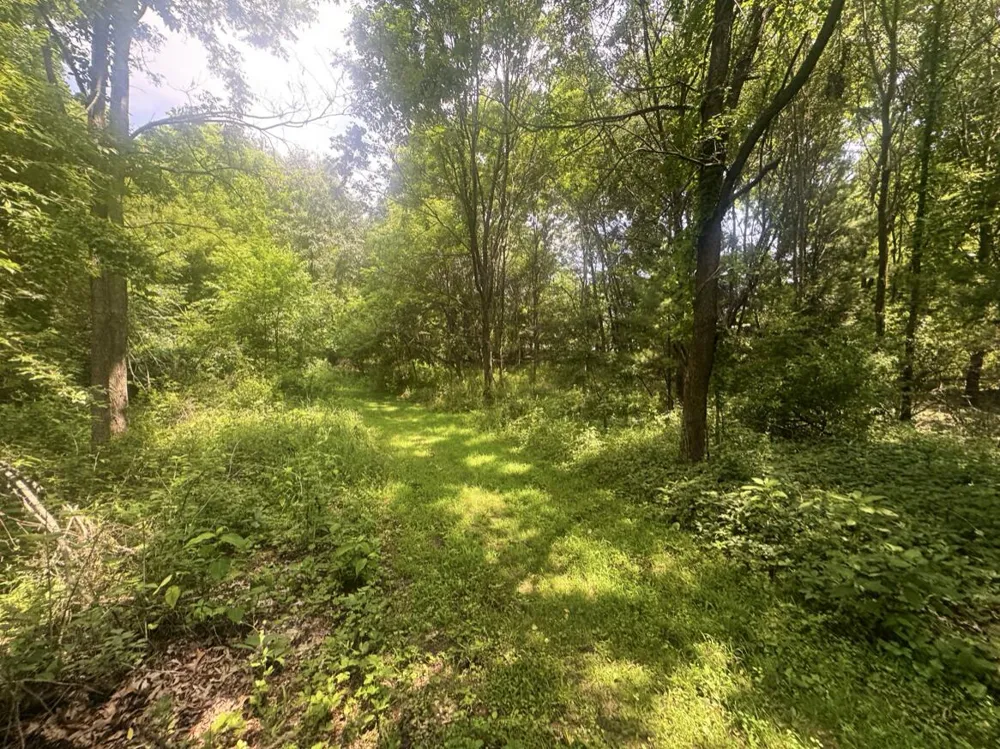 7705 Youngman Road Greenville, MI 48838