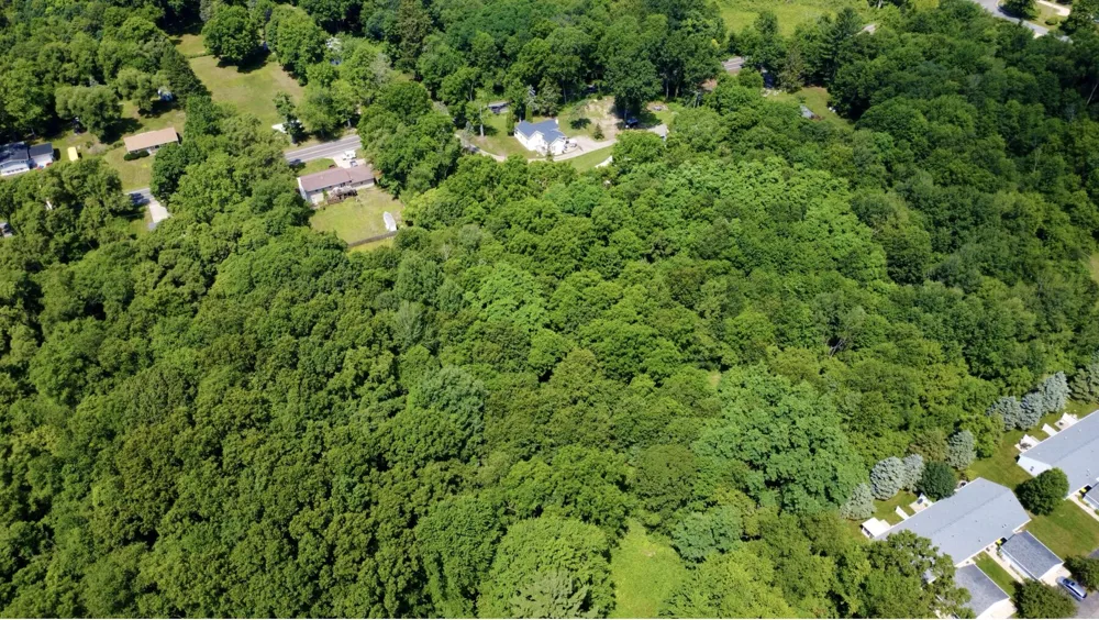 7705 Youngman Road Greenville, MI 48838