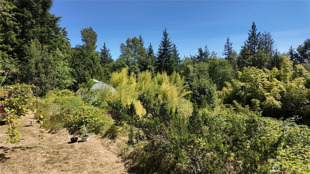 28651 Bacus Road Sedro Woolley, WA 98284