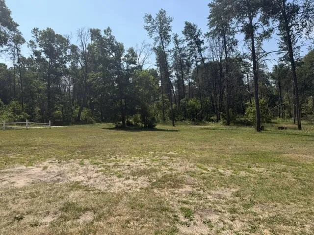 2045 S Hill Road Webber Township, MI 49304