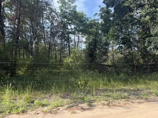2045 S Hill Road Webber Township, MI 49304