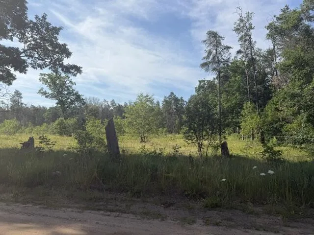 2045 S Hill Road Webber Township, MI 49304