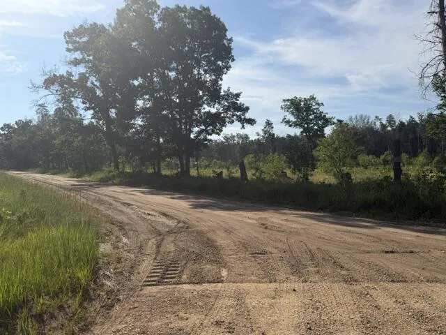 2045 S Hill Road Webber Township, MI 49304