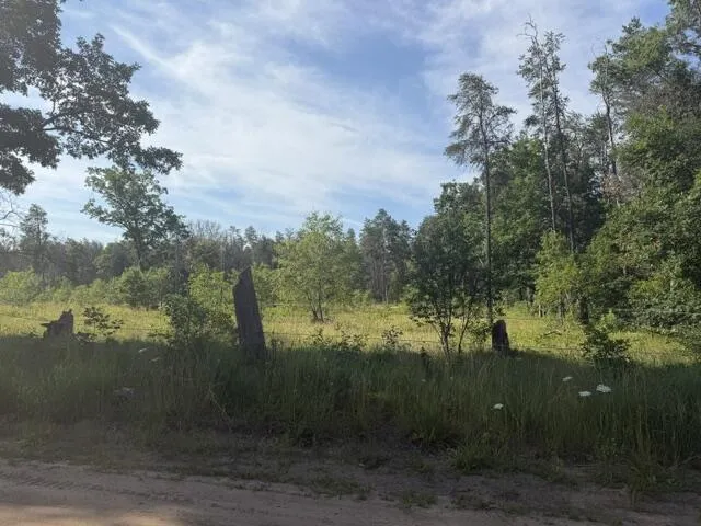 2045 S Hill Road Webber Township, MI 49304