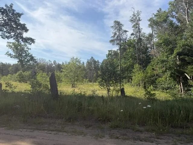 2045 S Hill Road Webber Township, MI 49304