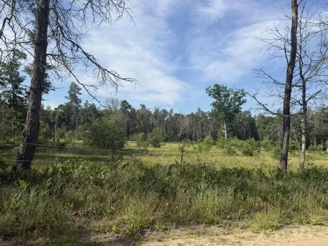 2045 S Hill Road Webber Township, MI 49304