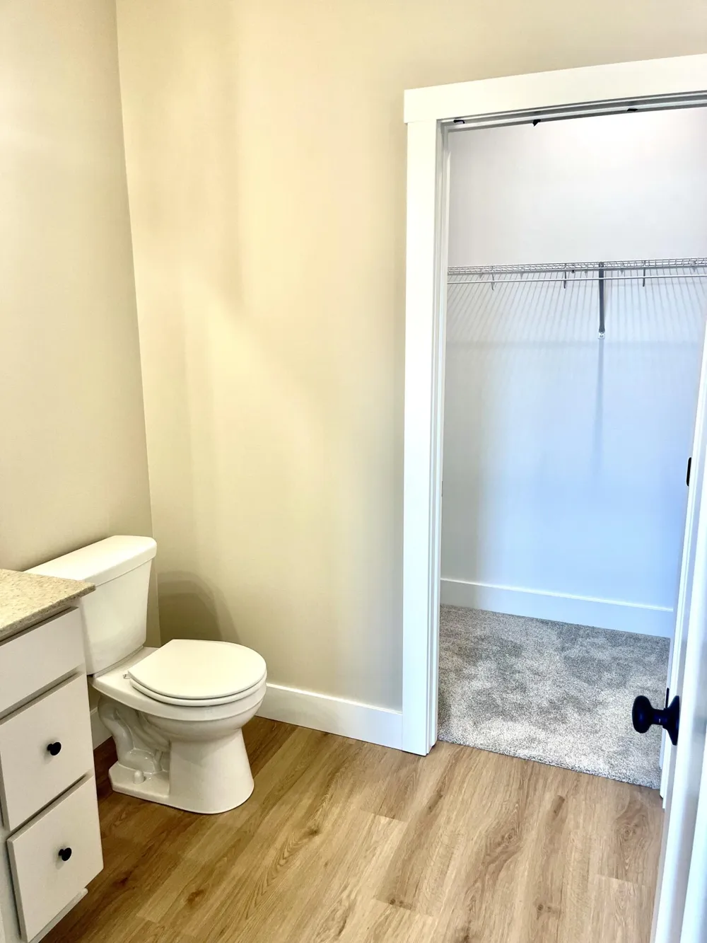 2489 Gray Wolf Way Fruitport Charter Township, MI 49444