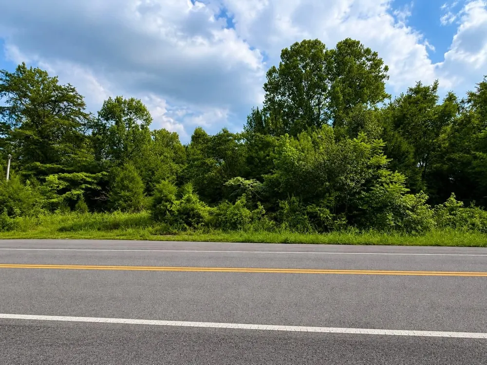 55515611 River Road Decatur, TN 37322