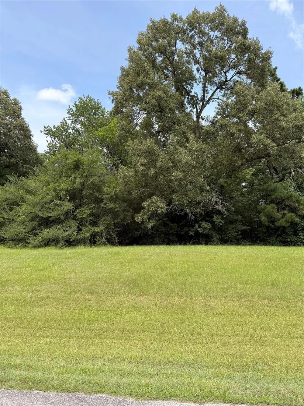7 Sunny Hill Drive Huntsville, TX 77340
