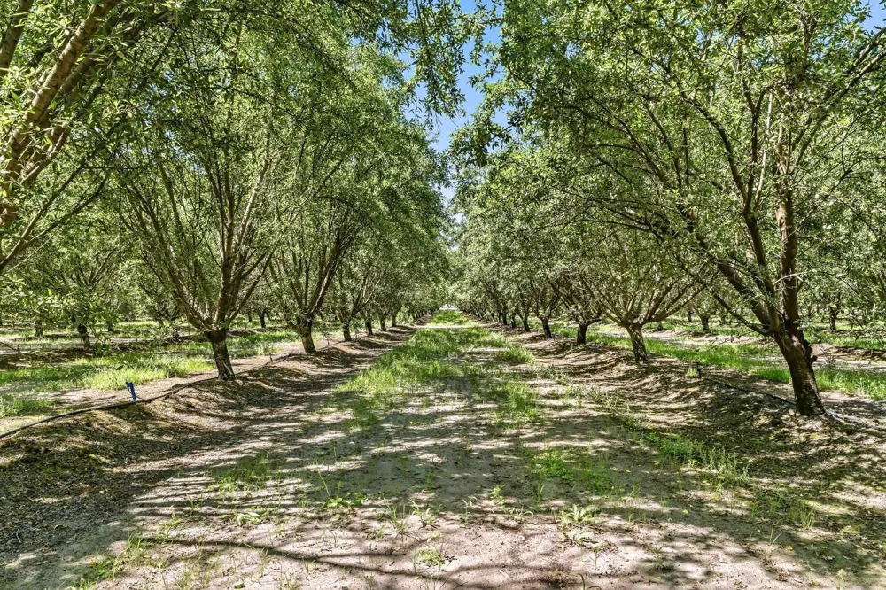 14361 Lombardy Delhi, CA 95315