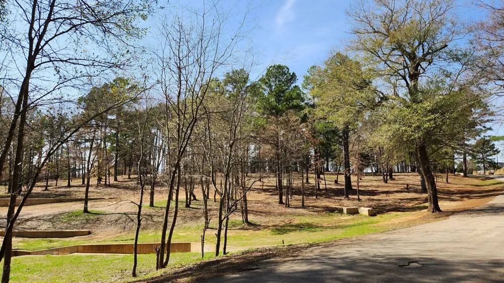 22540 County Road 1174 Bullard, TX 75757