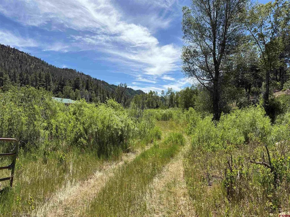 3230 Bear Creek Road Bayfield, CO 81122
