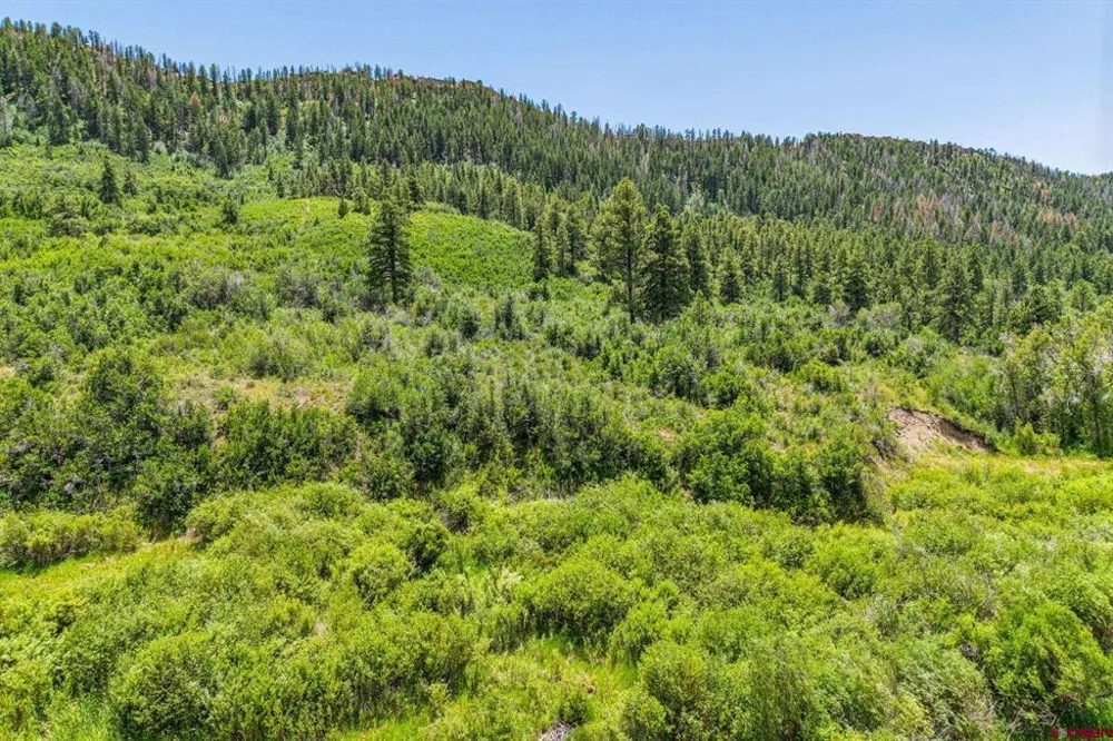3230 Bear Creek Road Bayfield, CO 81122