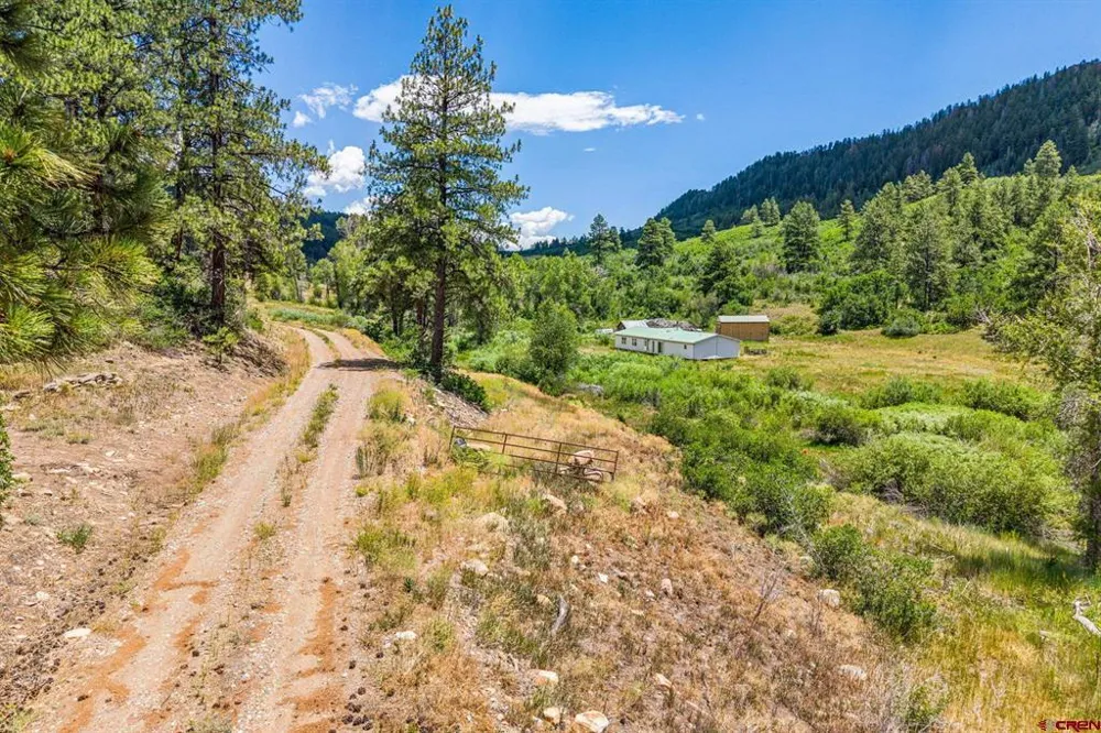 3230 Bear Creek Road Bayfield, CO 81122