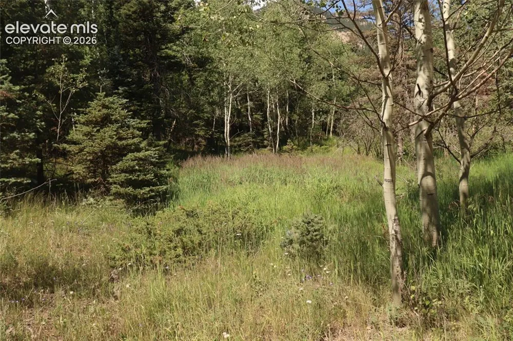 286 Coffee Road Manitou Springs, CO 80829