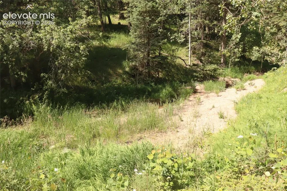 286 Coffee Road Manitou Springs, CO 80829