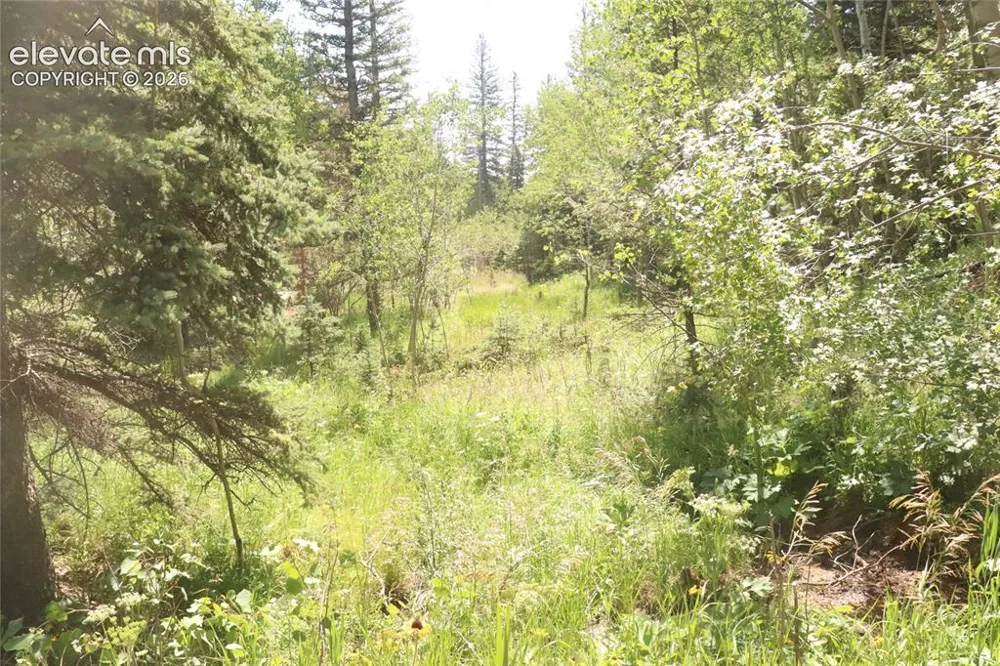 286 Coffee Road Manitou Springs, CO 80829