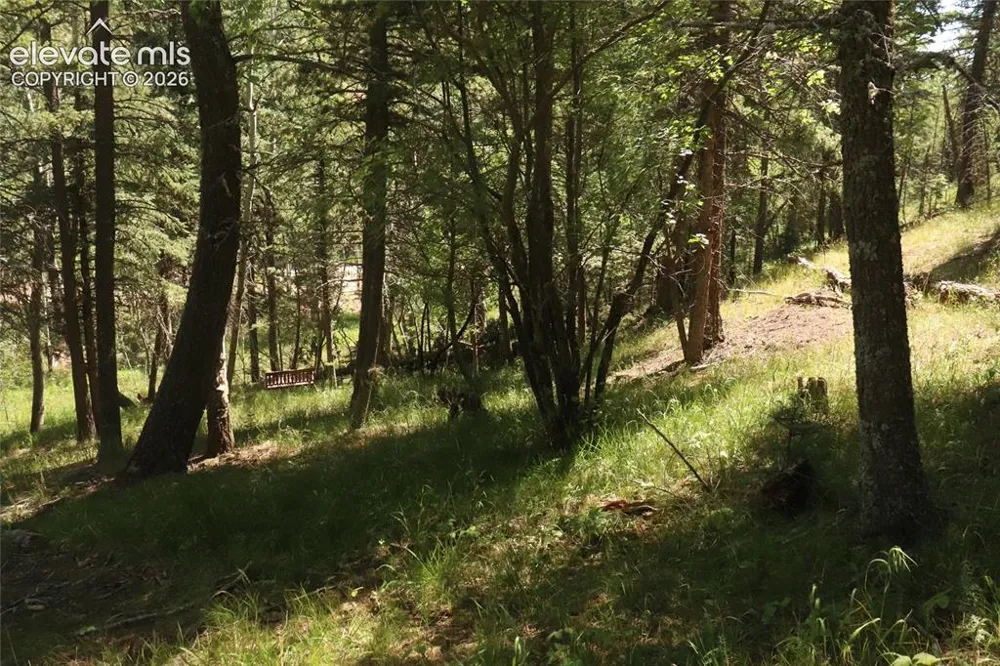 286 Coffee Road Manitou Springs, CO 80829