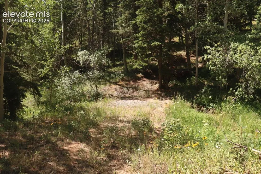 286 Coffee Road Manitou Springs, CO 80829