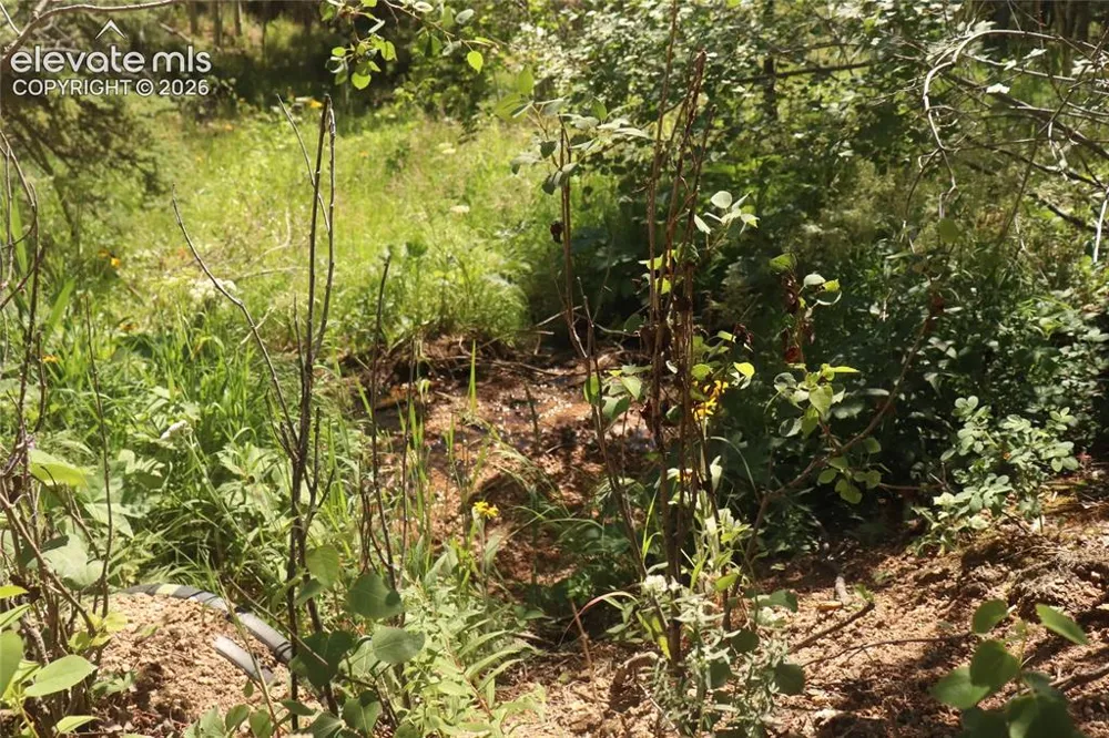 286 Coffee Road Manitou Springs, CO 80829