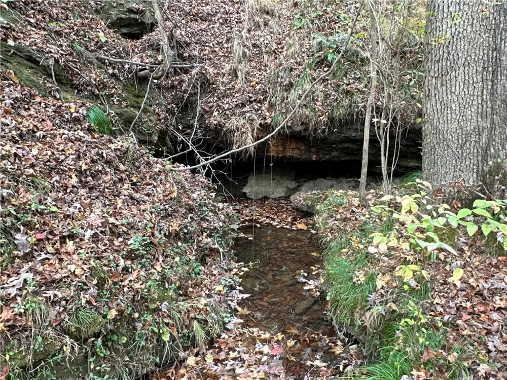 1806 Browning Road Rockmart, GA 30153