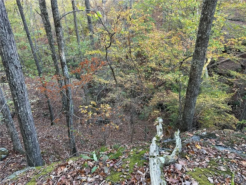1806 Browning Road Rockmart, GA 30153