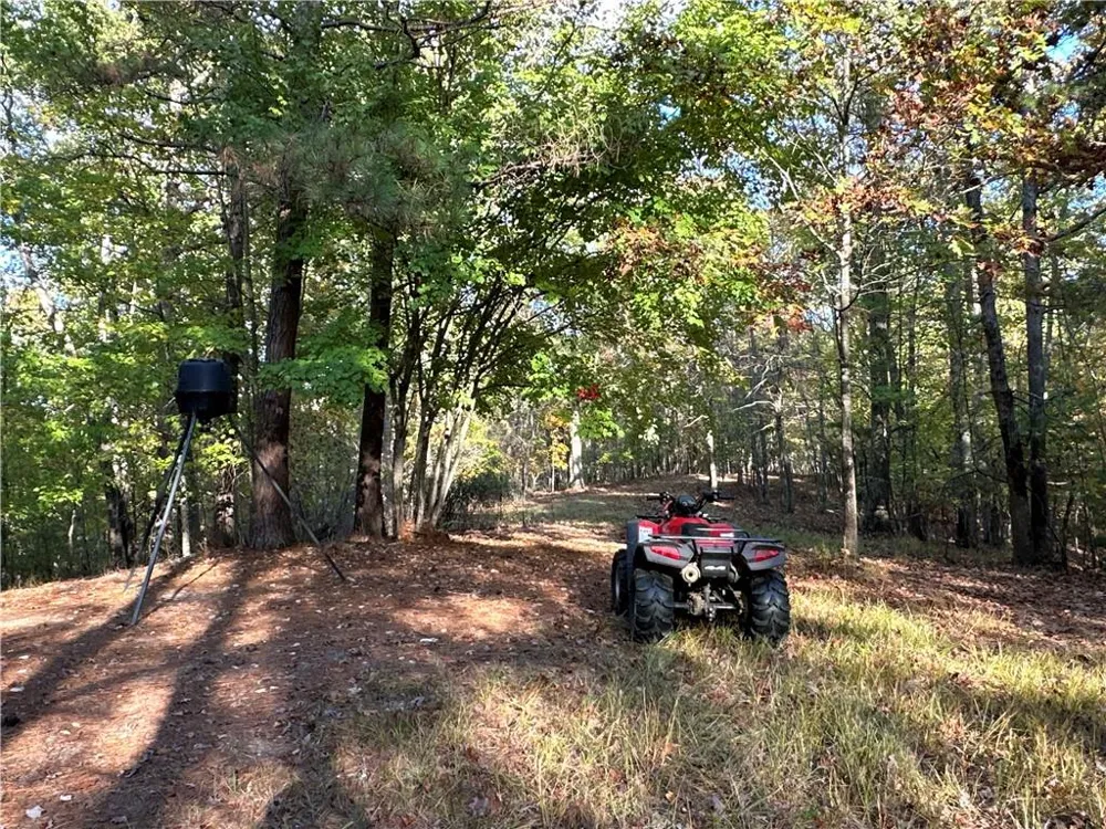 1806 Browning Road Rockmart, GA 30153