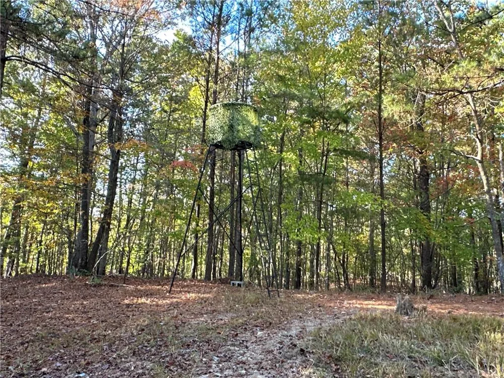1806 Browning Road Rockmart, GA 30153