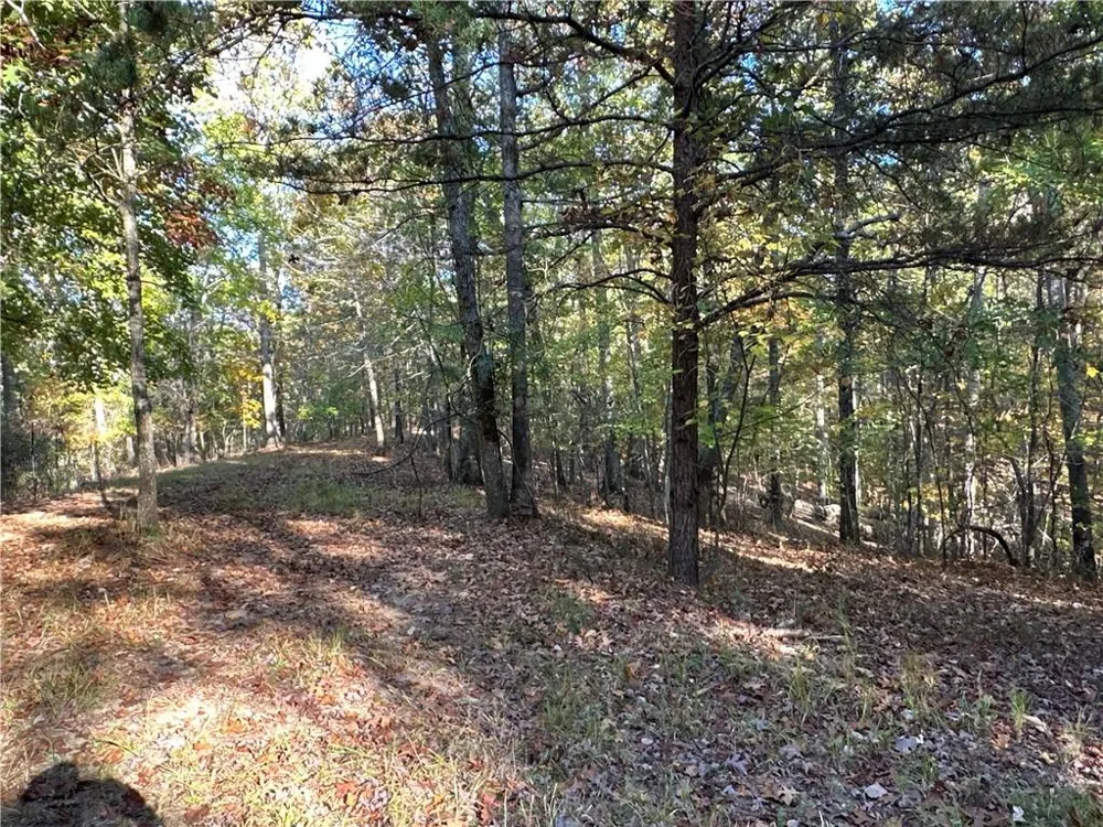1806 Browning Road Rockmart, GA 30153