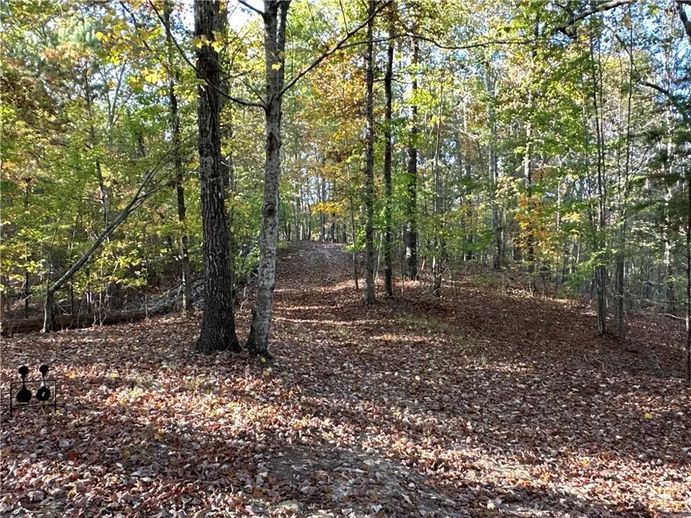 1806 Browning Road Rockmart, GA 30153