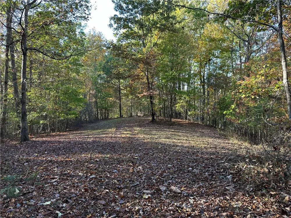 1806 Browning Road Rockmart, GA 30153