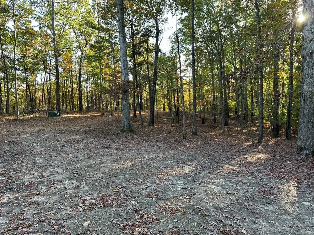 1806 Browning Road Rockmart, GA 30153