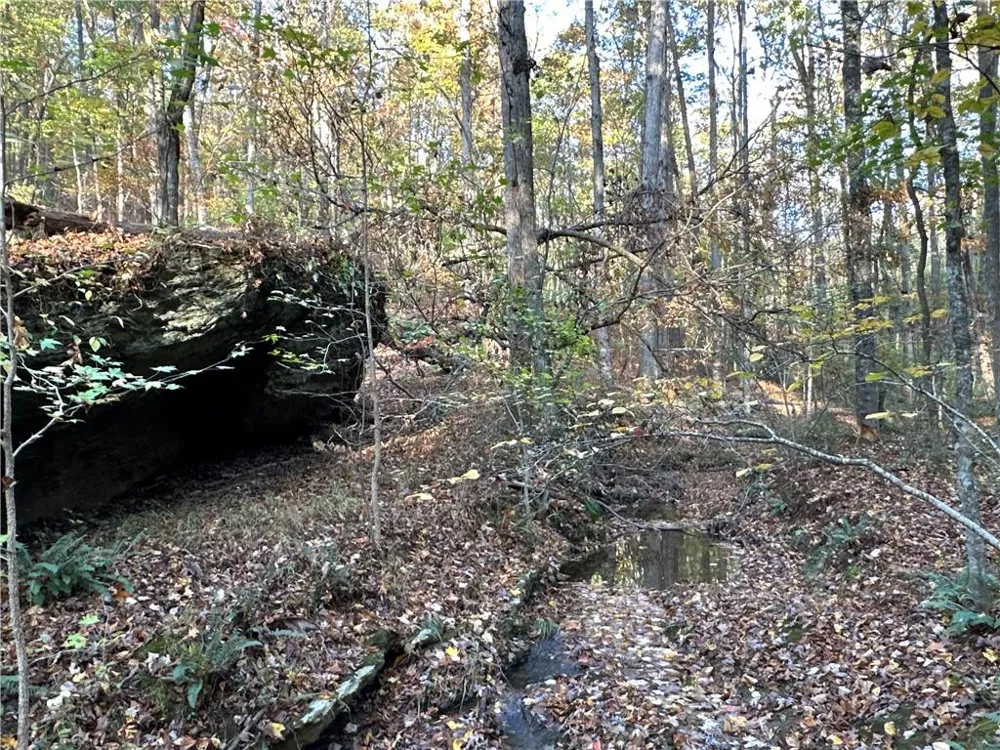 1806 Browning Road Rockmart, GA 30153