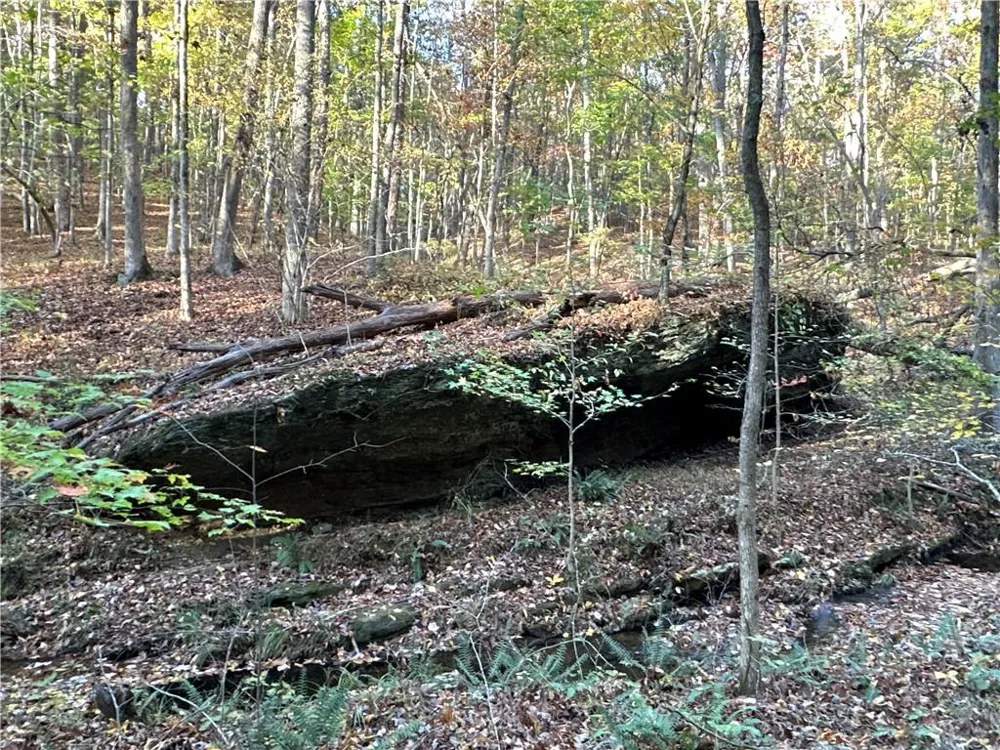 1806 Browning Road Rockmart, GA 30153