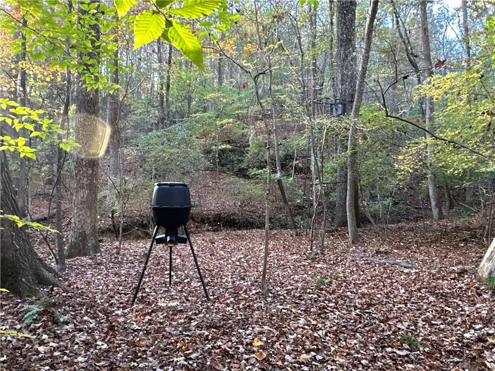 1806 Browning Road Rockmart, GA 30153