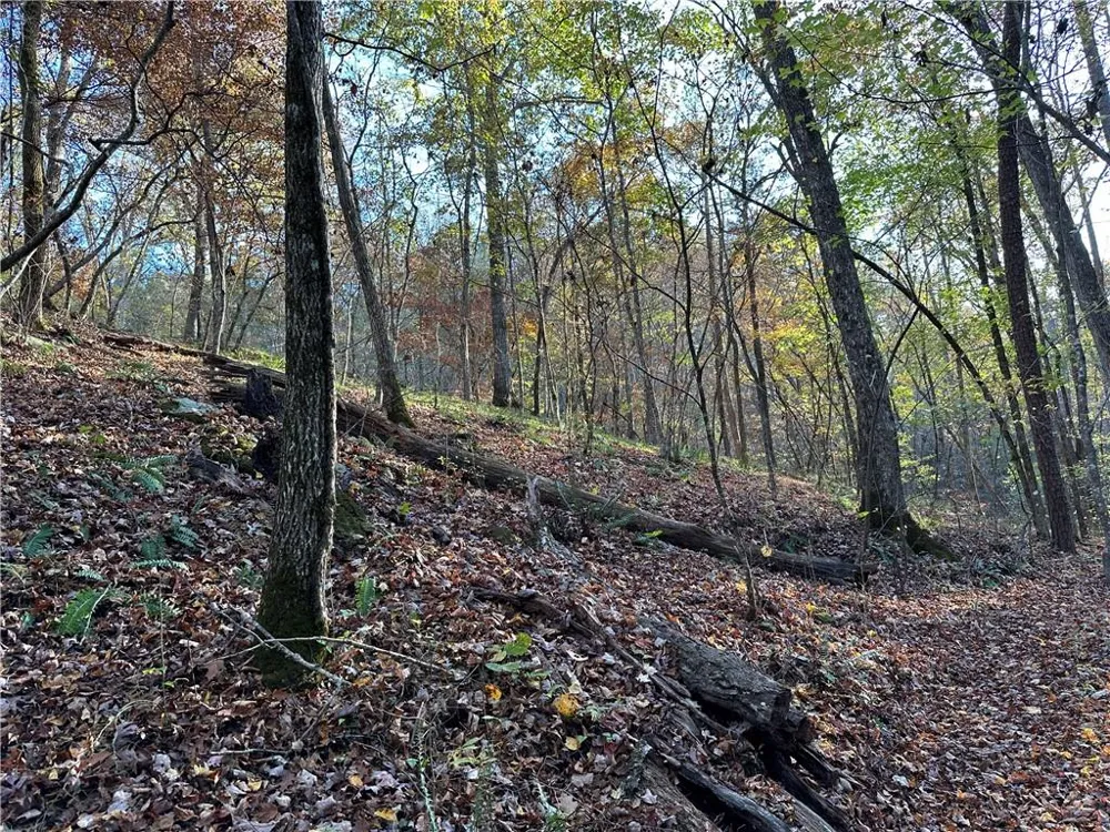 1806 Browning Road Rockmart, GA 30153