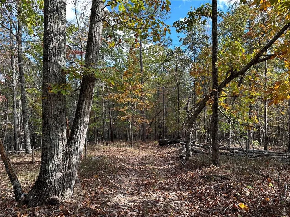 1806 Browning Road Rockmart, GA 30153