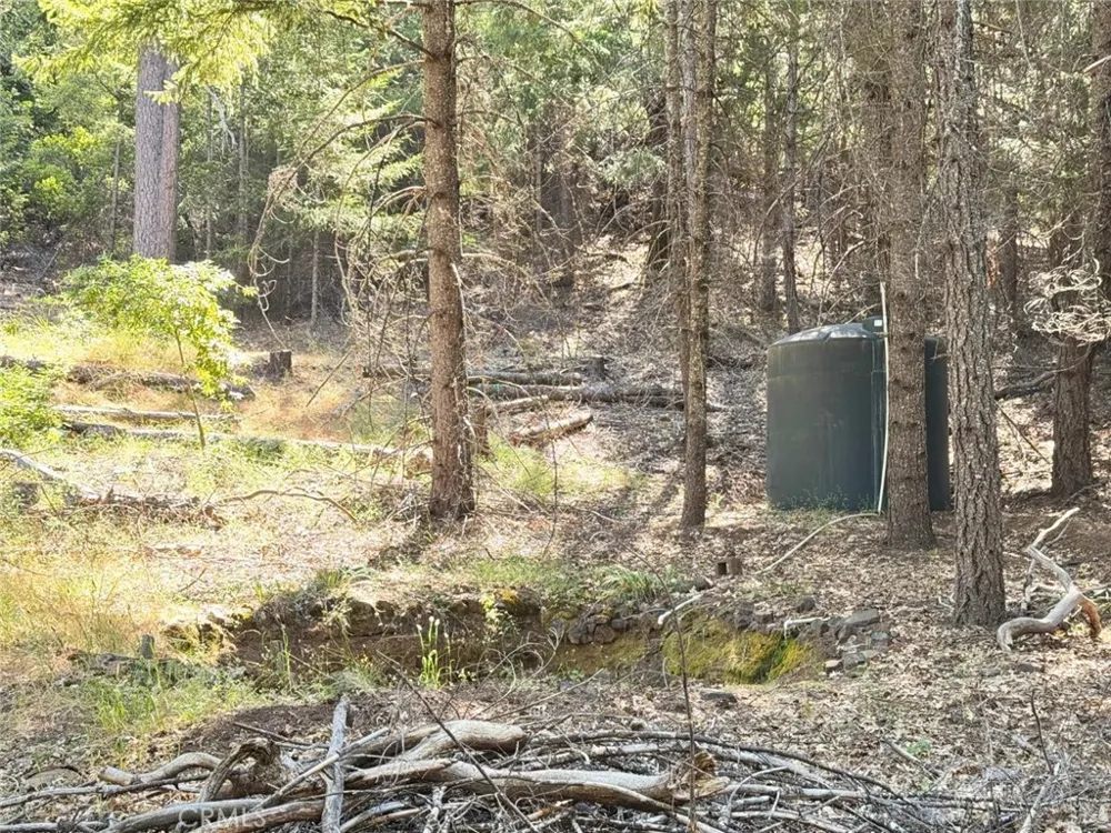 5800 Spyrock Road Laytonville, CA 95454