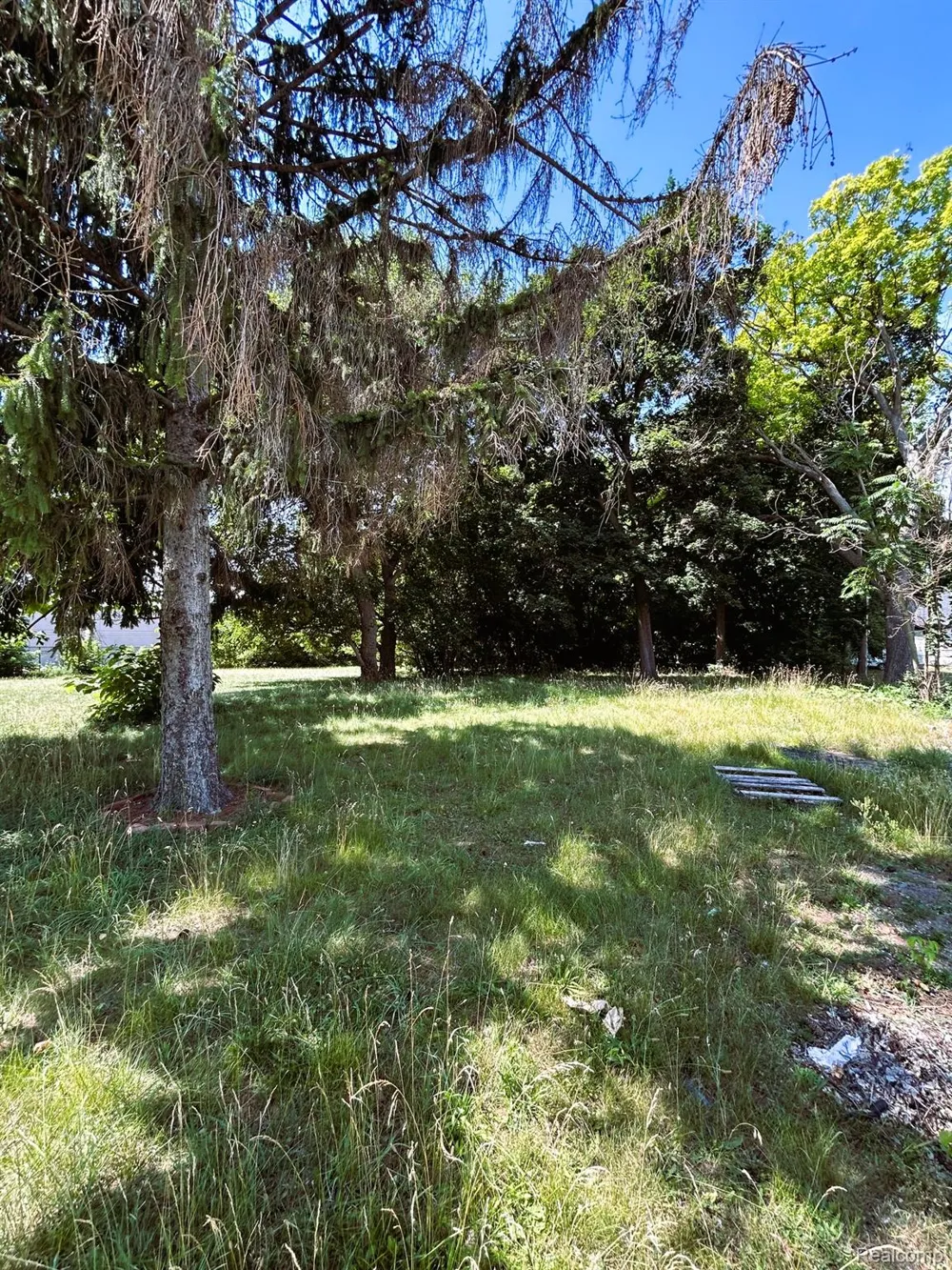 1008 Ann Arbor Street Flint City, MI 48503