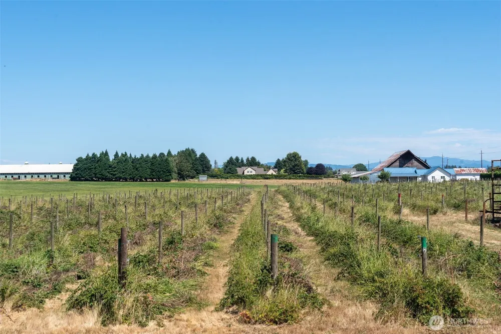 1128 Auburn Place Ridgefield, WA 98642