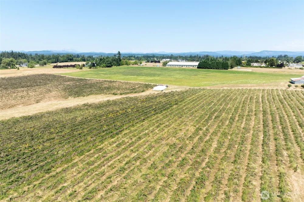 1128 Auburn Place Ridgefield, WA 98642