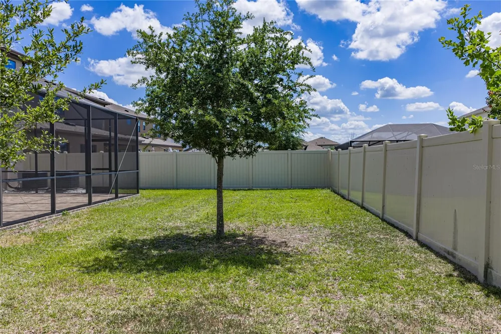 14633 RED CASTLE AVENUE Lithia, FL 33547