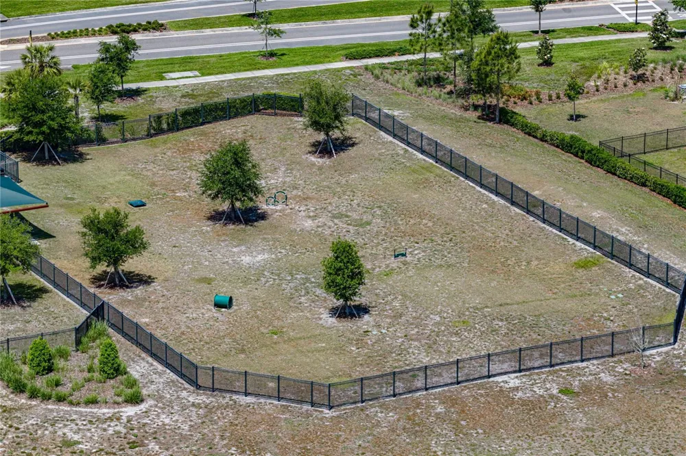 14633 RED CASTLE AVENUE Lithia, FL 33547